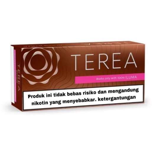 Heets-Terea-Bronze-Indonesian-version-in-Dubai.jpeg