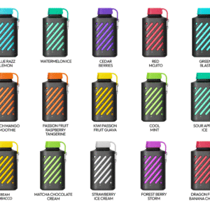 VOZOL Gear Rechargeable Disposable Vape - Best Choice in UAE