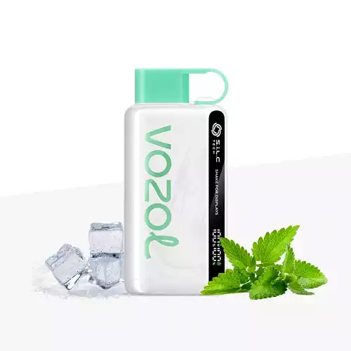 vozol-star-12000-cool-mint-vozol-puff.webp